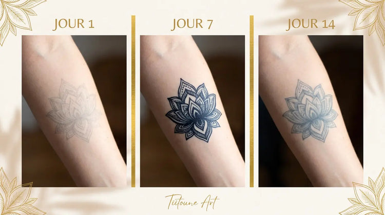 Évolution durée tatouage Jagua jour 1 à jour 14 sur avant-bras